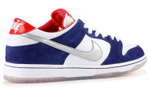 Кроссовки Nike Dunk Sb Ishod W 'Bmw'