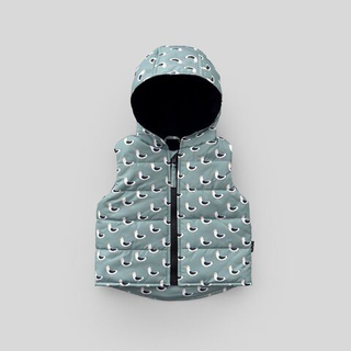 Жилет (чайки)