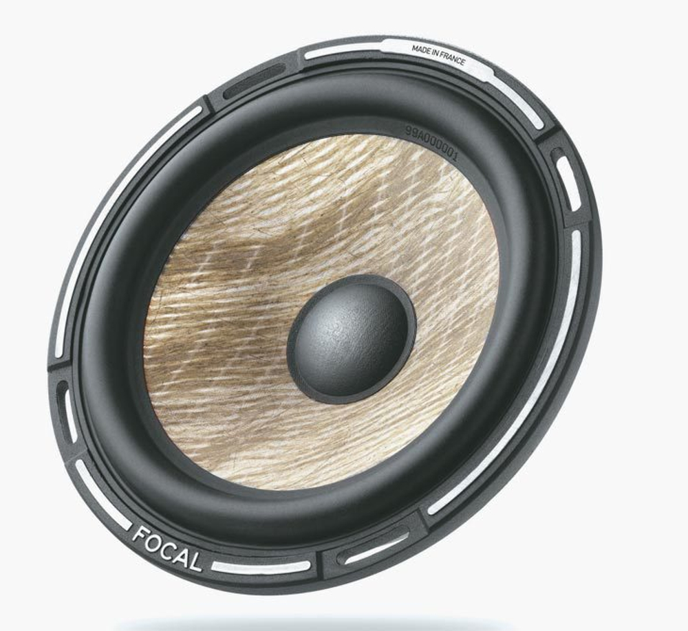 Focal 300 ICW 4