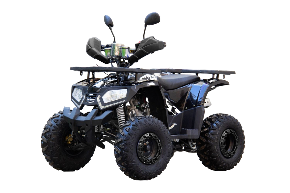 Квадроцикл UNIVERSAL ATV 125 TM Fusion