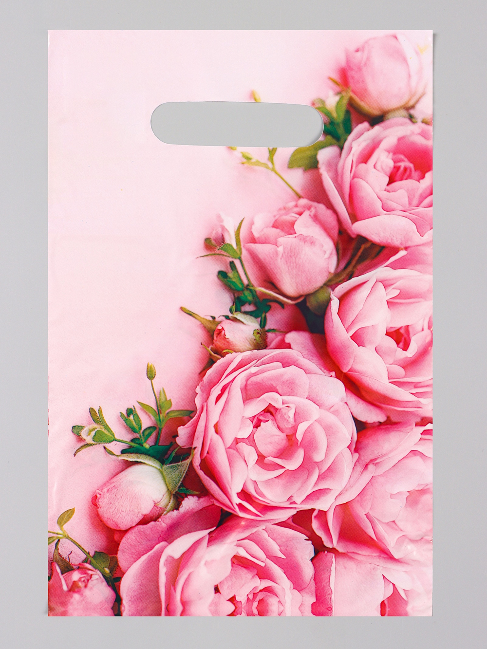 Пакет «Ненси», полиэтиленовый с вырубной ручкой, 20×30 см, 30 мкм, 10962377, Россия