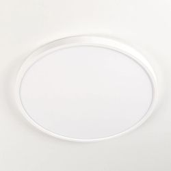 Citilux Бейсик CL738320V Светильник накладной Белый