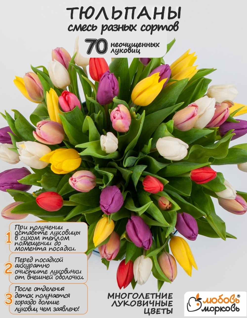 Тюльпан Луковицы неочищенные, Микс сортов, 70+шт