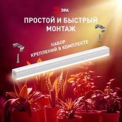 Светильник для растений, фитолампа светодиодная линейная ЭРА FITO-18W-PL-LINE 573-GR красно-синего спектра 18 Вт Т5