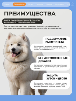 Корм сухой для взрослых собак породы Самоед, премиум полнорационный комплекс, с индейкой, 3 кг, QUATTRO