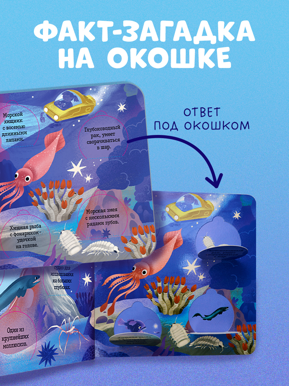 Книжка с окошками. Океаны и моря. Энциклопедия с окошками