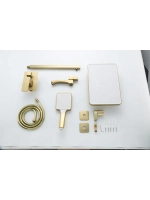 Душевая система скрытого монтажа Frap F7176-3