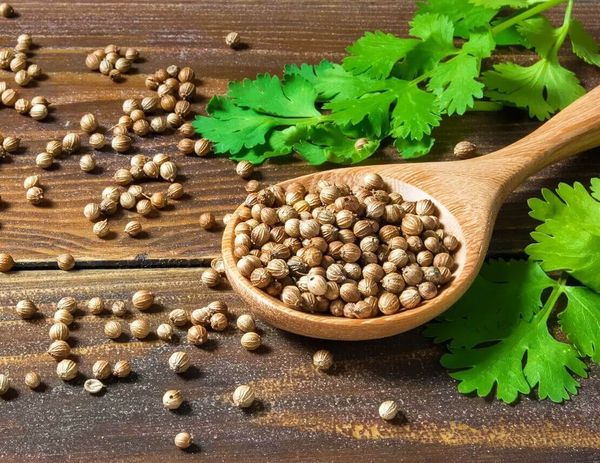 Вам нравится «клоповник»? А ведь он помогает от диабета!