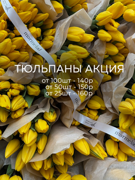 АКЦИЯ тюльпан - классика ЖЕЛТЫЙ