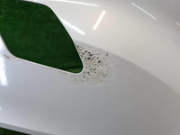 Бампер передний BMW X6 F16 (2014-2020)