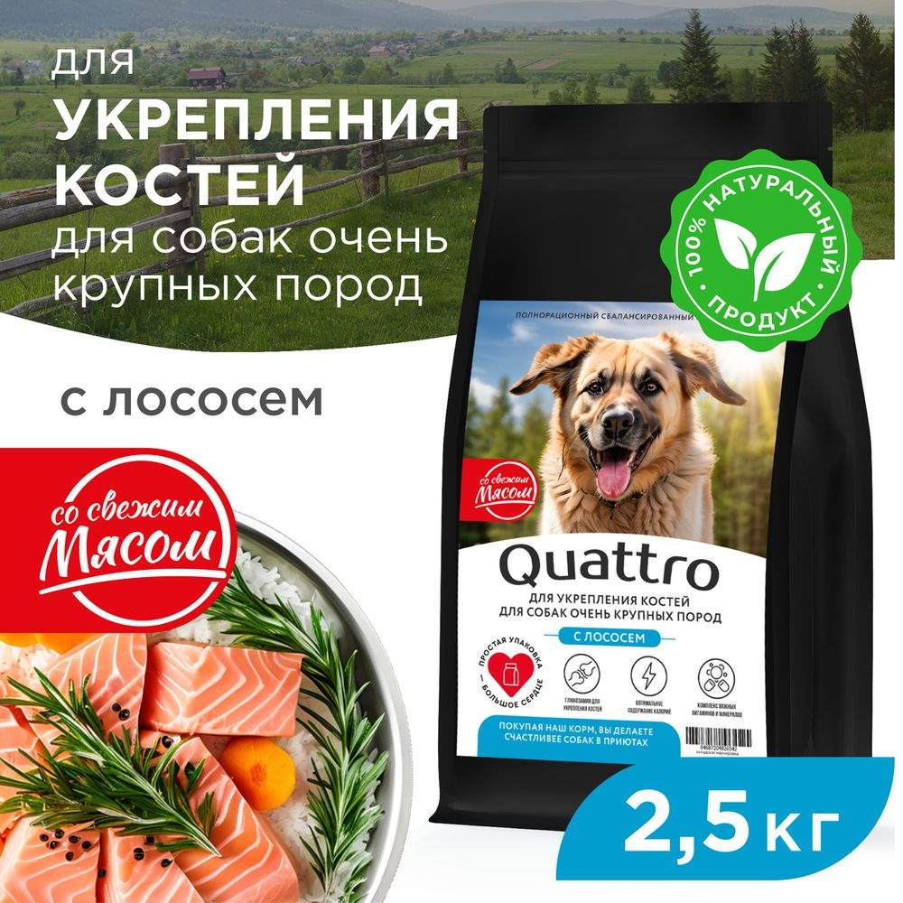 Корм сухой для взрослых собак очень крупных пород, премиум полнорационный комплекс, для укрепления костей у собак, с лососем, 2,5 кг, QUATTRO