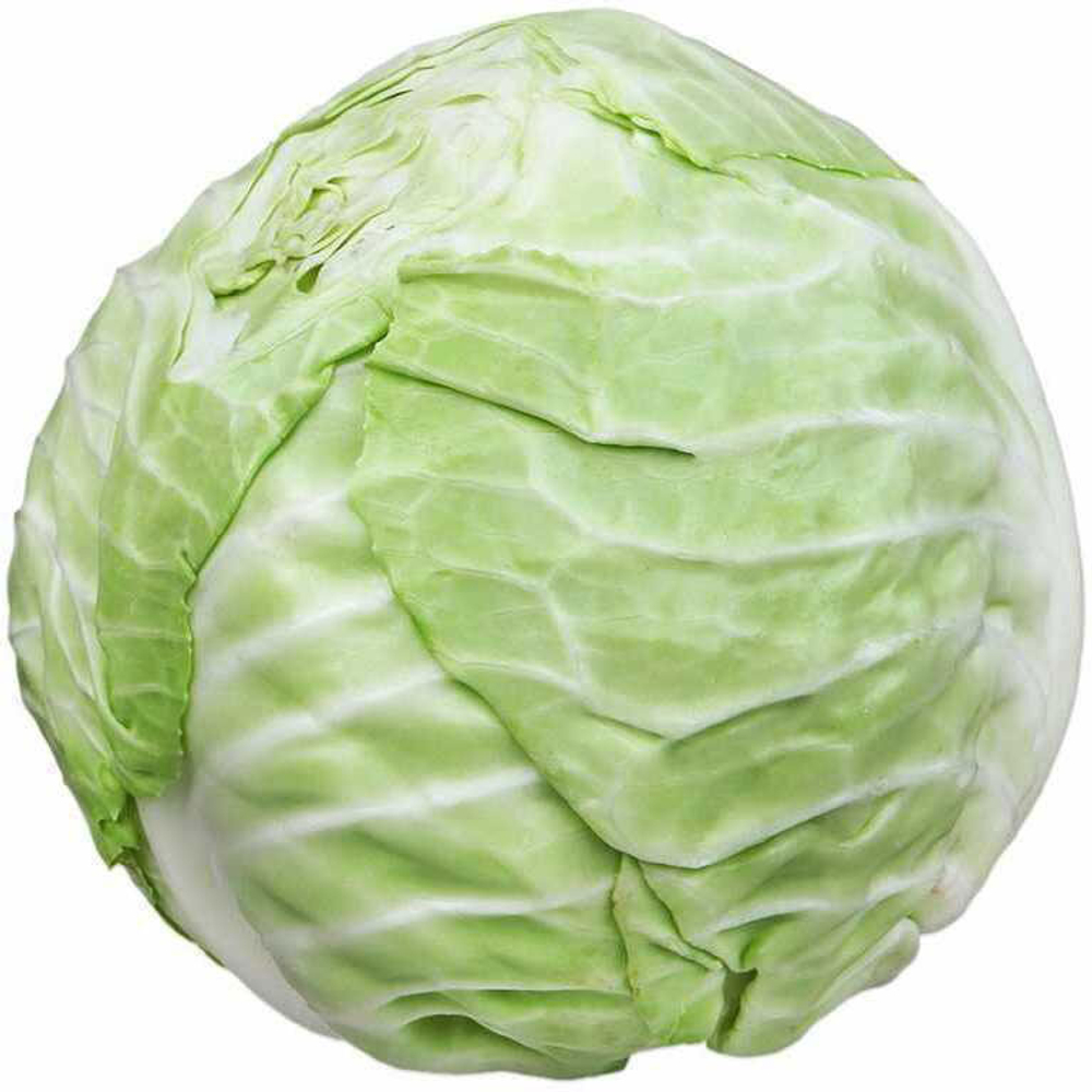 307294