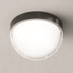 Уличный потолочный светильник Outdoor O438CL-L12GF3K