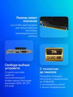 Видеокарта AFOX NVIDIA  G210 AF210-1024D3L5-V2 1ГБ DDR3, Low Profile,  Ret
