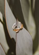 Кольцо «Вита»