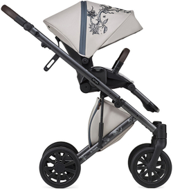 Детская коляска Anex e/type 2 в 1 eden