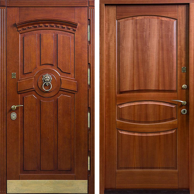 Входная дверь 738