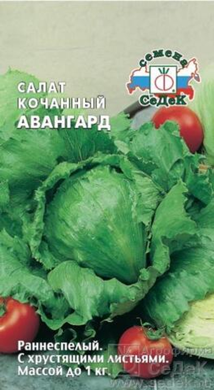 Салат Авангард кочанный (айсберг) 0,5 г Седек