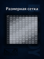 Шорты спортивные тренировочные Bad Boy Pro Series 2.0 Light черный