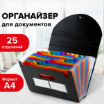 Папка-органайзер для бумаг и документов на резинке 25 отделений BRAUBERG DOCS А4 черная (2 штуки в упаковке)