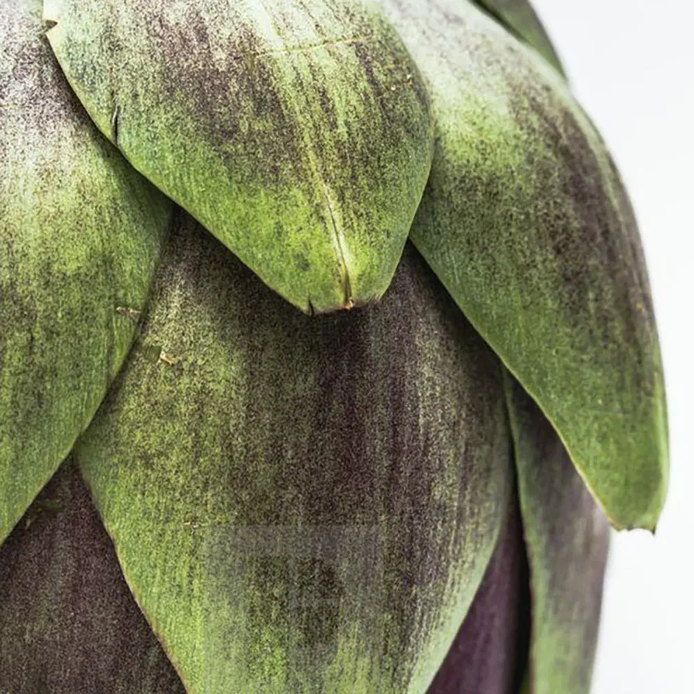 Keune Шампунь Успокаивающий Уход CARE SCALP SENSITIVE SOOTHING SHAMPOO 300 мл