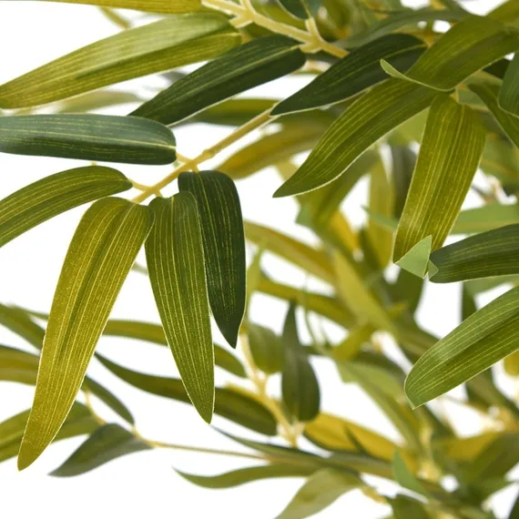 Бамбук высота 175 см