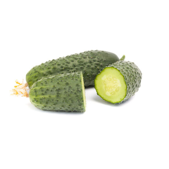 Кибрия F1 семена огурца партенокарпического (Rijk Zwaan / Райк Цваан) – фото 2