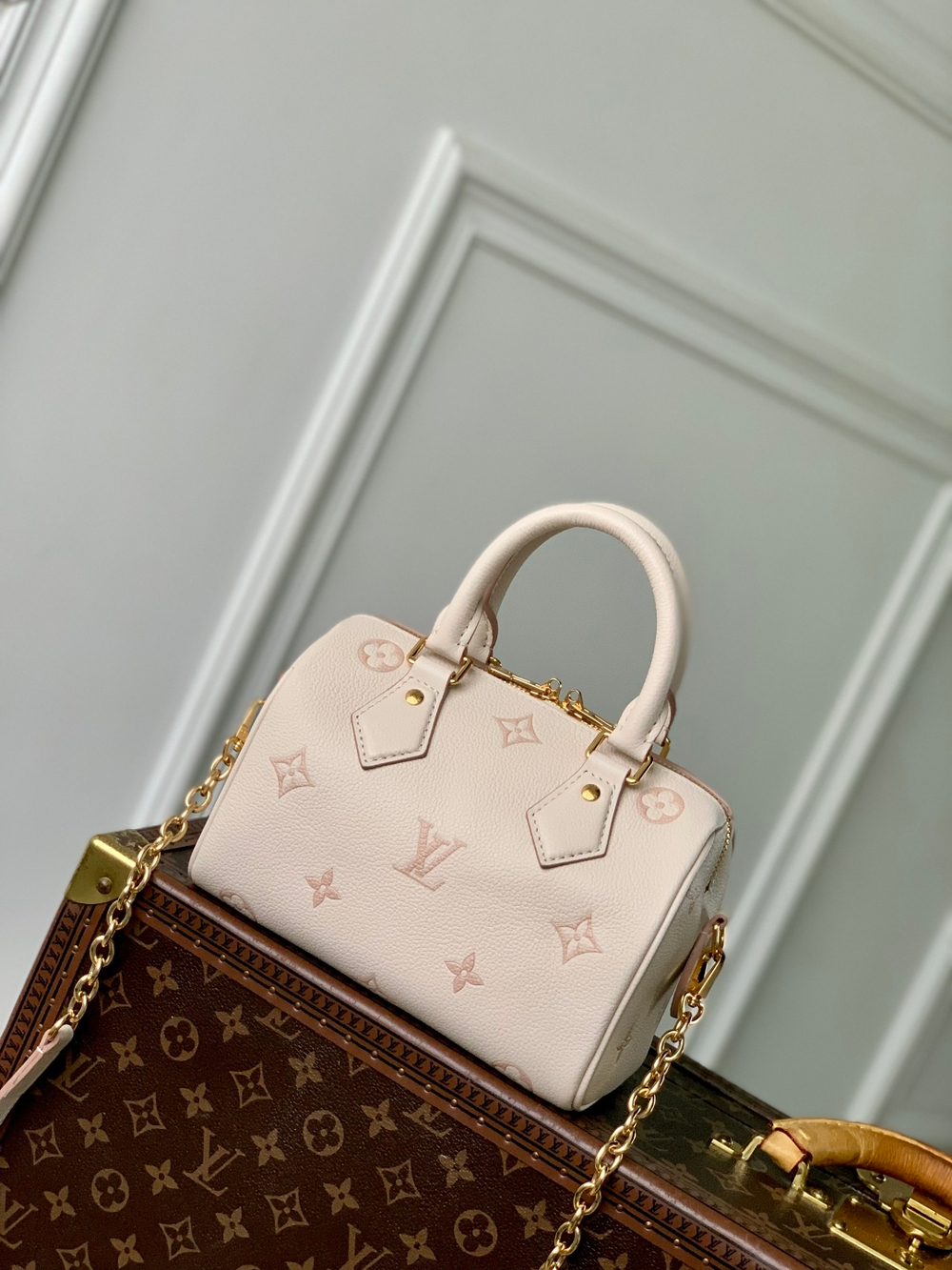 Louis Vuitton Speedy 20