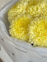 Букет из 9 одноголовых хризантем лимонного оттенка