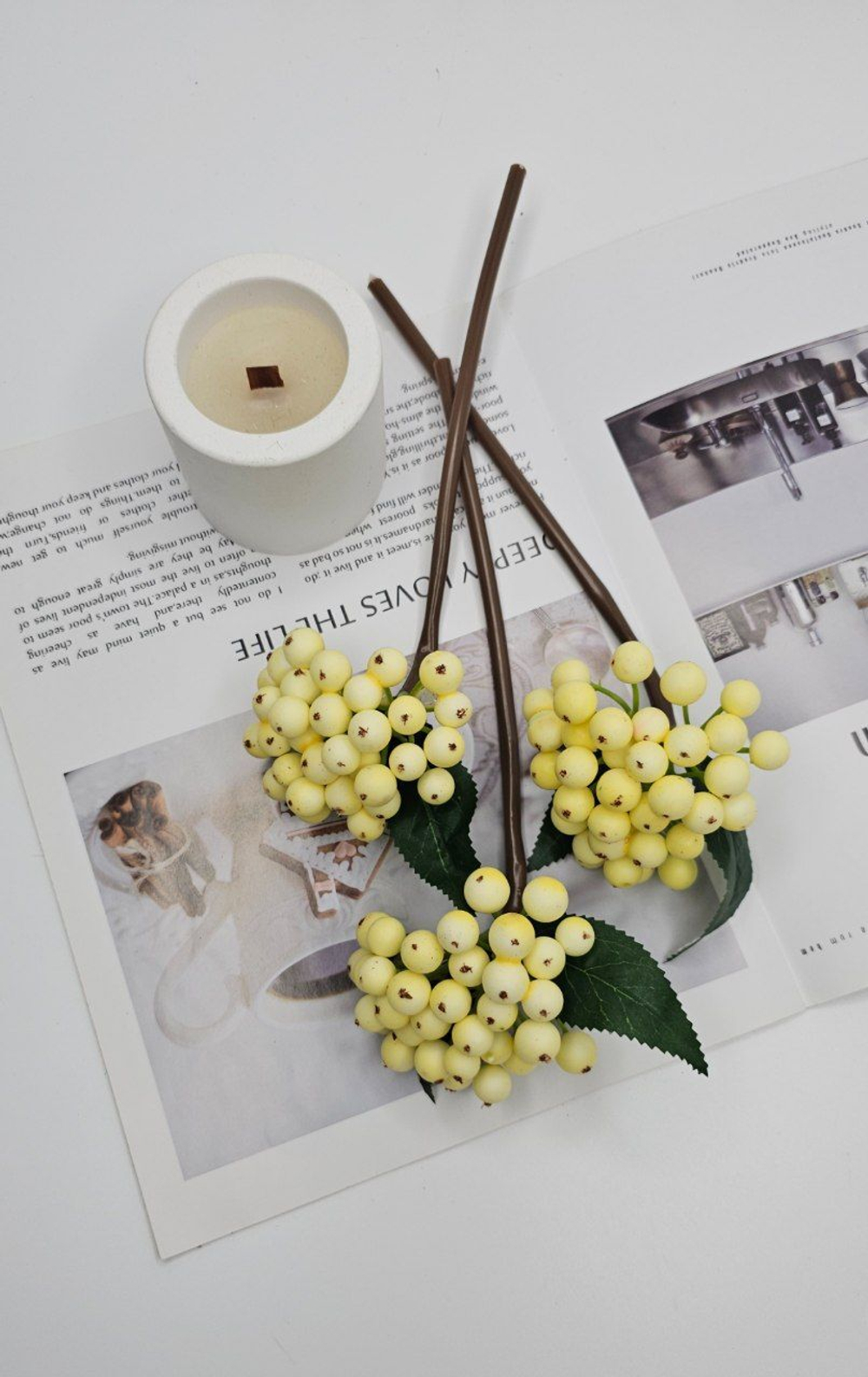 Ягоды / Арт 8046