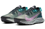 Кроссовки Nike Pegasus Trail 2 (Женская размерная сетка)