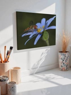 Картина на стену 40 X 50 Насекомое и цветок