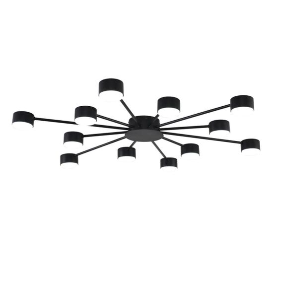 Люстра Lumion COMFI 8344/12C