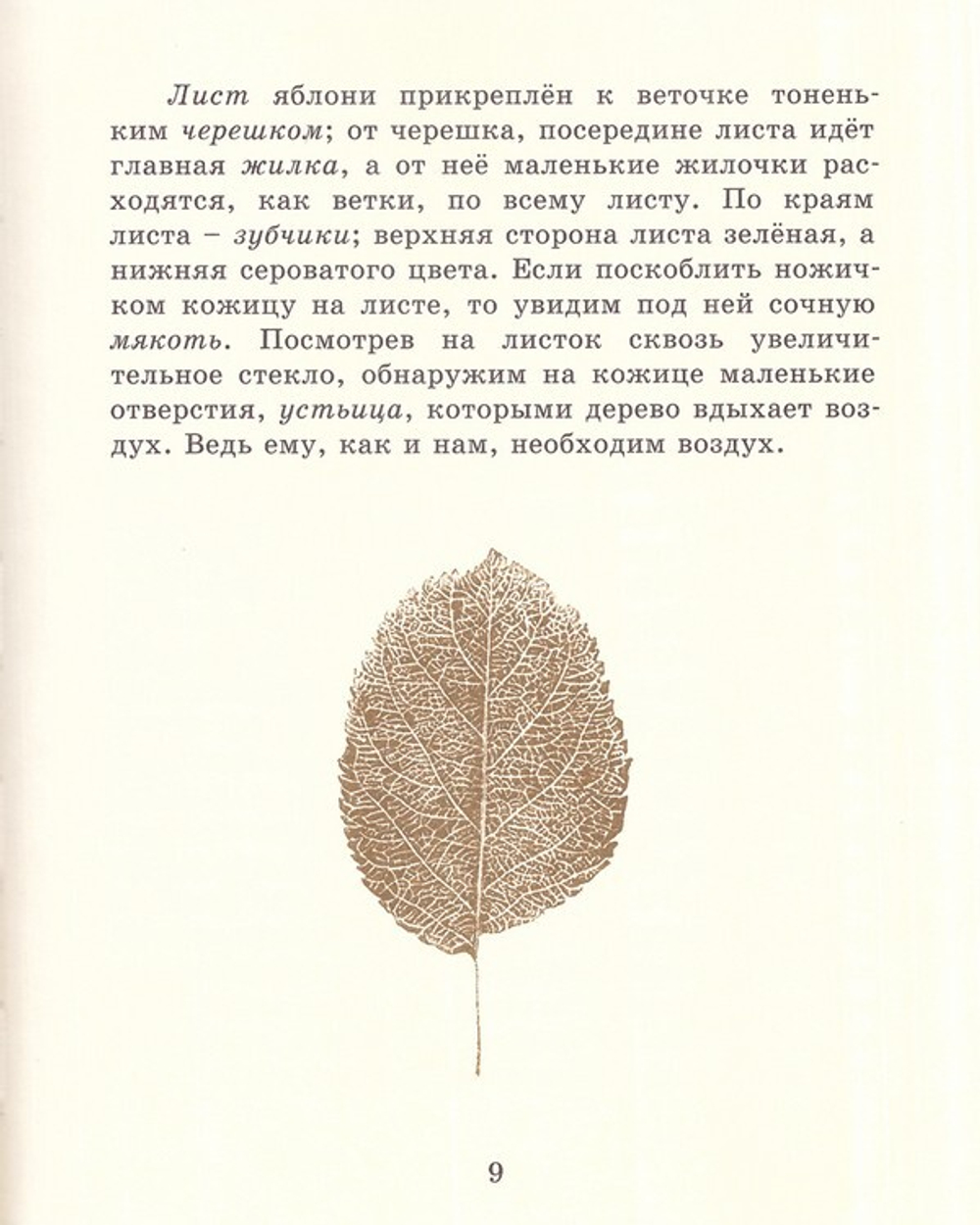 Детский мир. Из природы. Часть 2. К. Д. Ушинский - купить по выгодной цене  | Уральская звонница