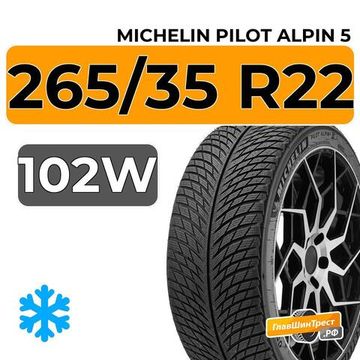 Michelin Pilot Alpin 5 SUV 265/35 R22 102W XL