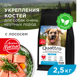 Корм сухой для взрослых собак очень крупных пород, премиум полнорационный комплекс, для укрепления костей у собак, с лососем, 2,5 кг, QUATTRO