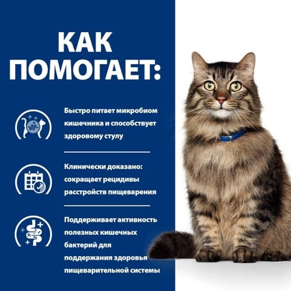 Hill's Feline Gastrointestinal Biome - диета для кошек лечение ЖКТ