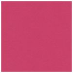 Картон цветной А4 немелованный (матовый), ВОЛШЕБНЫЙ, 10 листов 10 цветов, в папке, ПИФАГОР, 200х290 мм, Слоник, 129911