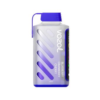 VOZOL Gear 20000 - Черника Клюква Вишня