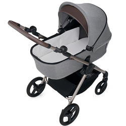 Детская коляска Anex iQ Premium NT 2 в 1 pure