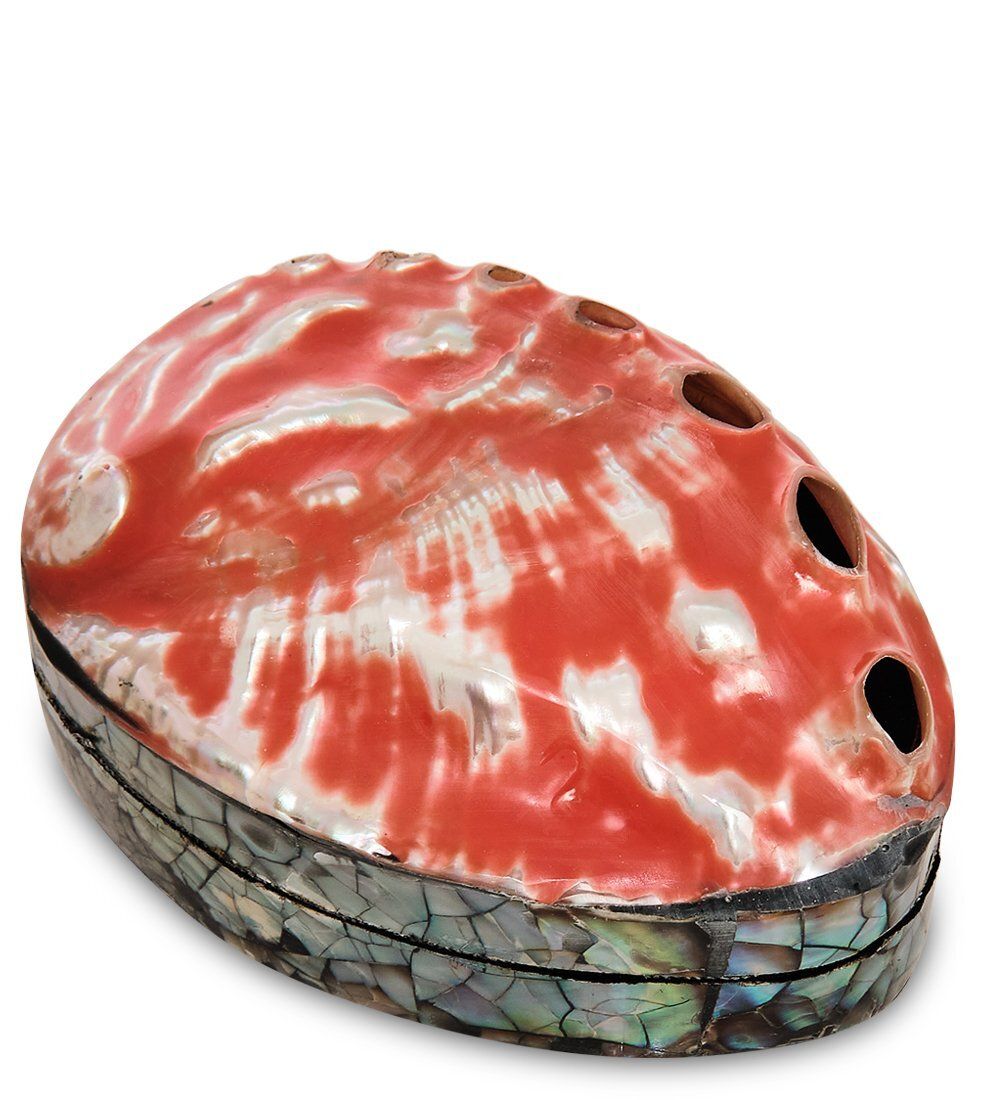 Decor and Gift 54-045-01 Декоративная шкатулка «Ракушка»