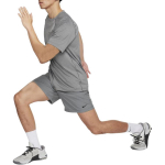 Шорты Nike Logo, DV9858-084