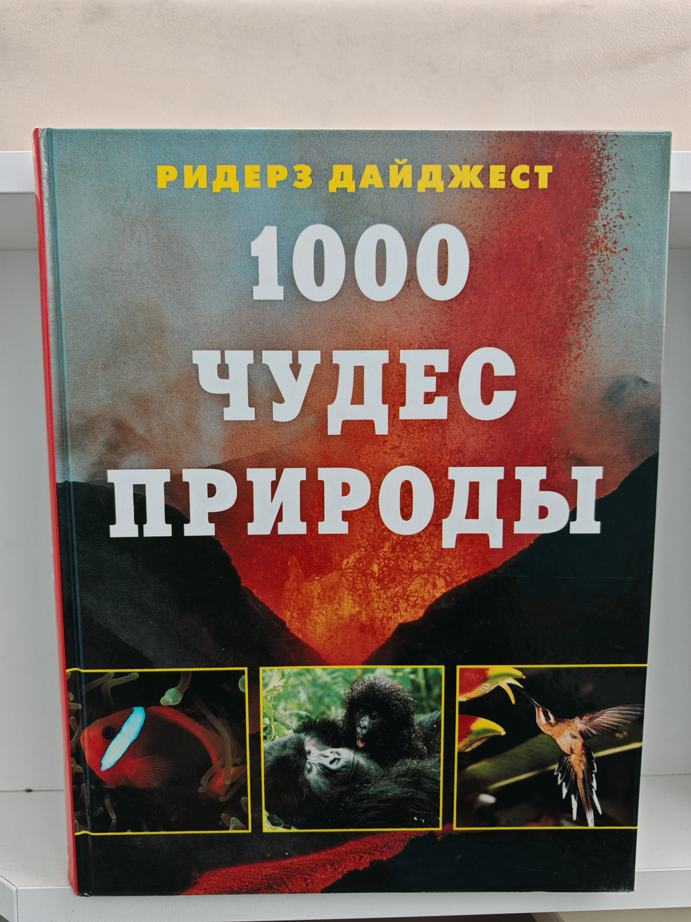 1000 чудес природы