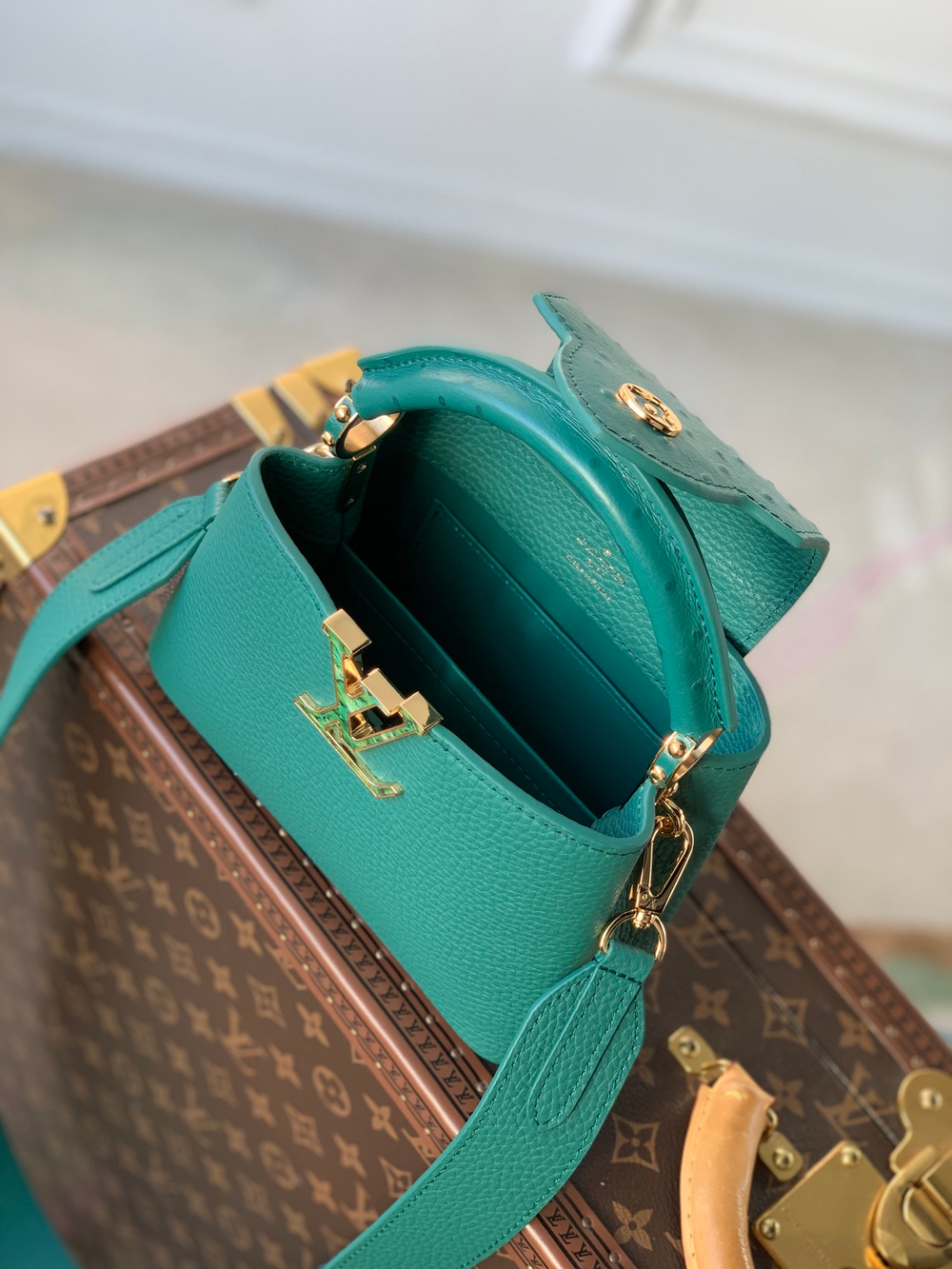 Louis Vuitton Capucines Mini