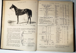 Русский коннозаводческий журнал «Русский спорт» Второй год издания, 1883 г. С 1 по 26 номер.
