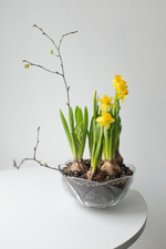 Композиция с первоцветами в вазе размер M