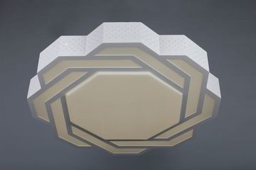 Светильник потолочный OML-43607-59 белый Omnilux Darwen