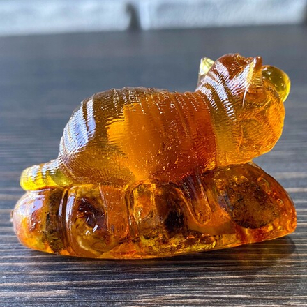 Кот-мальчик на колбасе