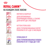 Royal Canin Kitten Киттен Корм сухой сбалансированный для котят в период второй фазы роста до 12 месяцев 300г