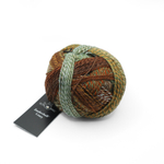 Schoppel Zauberball Crazy - 1660 (Riverbed)